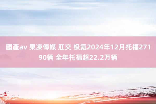 國產av 果凍傳媒 肛交 极氪2024年12月托福27190辆 全年托福超22.2万辆