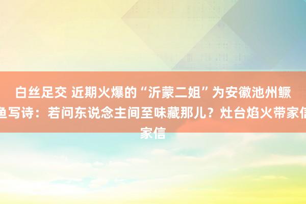 白丝足交 近期火爆的“沂蒙二姐”为安徽池州鳜鱼写诗：若问东说念主间至味藏那儿？灶台焰火带家信