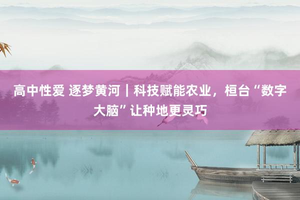 高中性爱 逐梦黄河｜科技赋能农业，桓台“数字大脑”让种地更灵巧