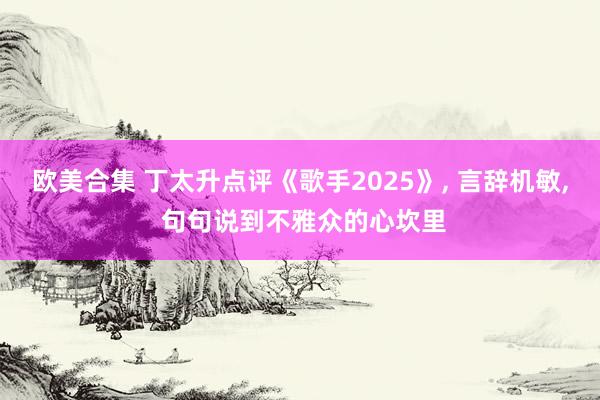 欧美合集 丁太升点评《歌手2025》， 言辞机敏， 句句说到不雅众的心坎里